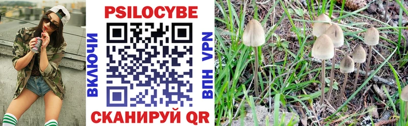 Галлюциногенные грибы Magic Shrooms  Вязники 