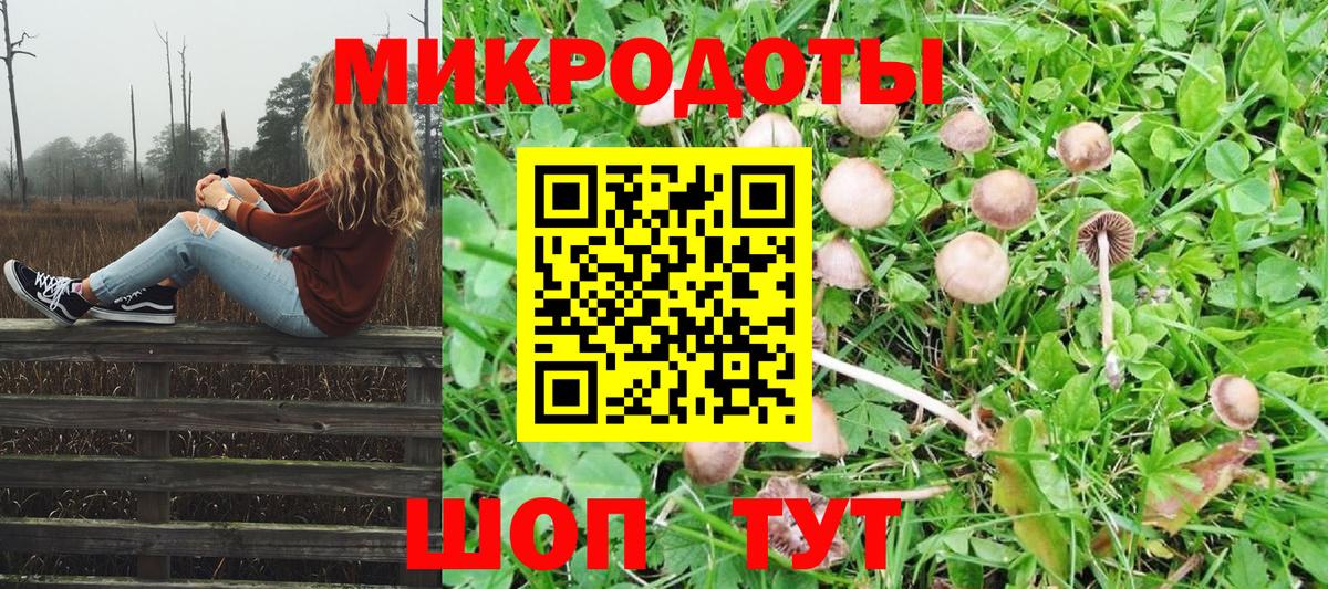 Псилоцибиновые грибы GOLDEN TEACHER  Вход с VPN  Вязники 